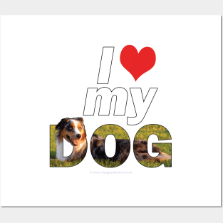 I love my dog - Australian Shepherd Collie oil painting word art Posters and Art